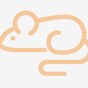 line drawing of rat